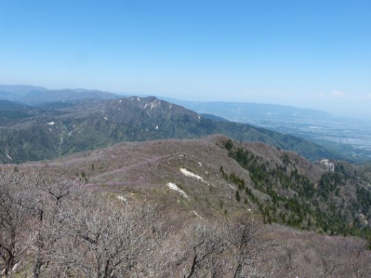 画像41